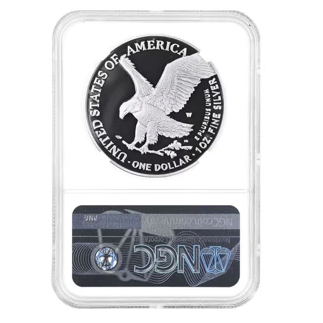 2023-W 1 oz Proof Silver American Eagle NGC PF 70 FDOI (Castle)