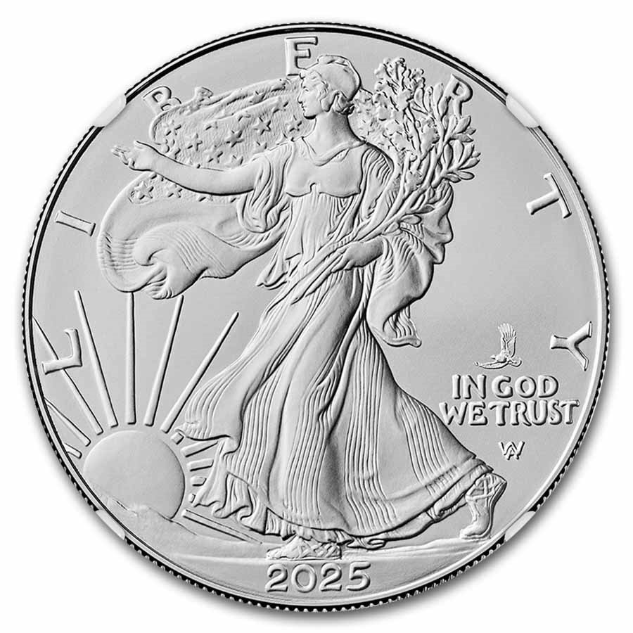 2025-(P) American Silver Eagle (Eagle Privy) MS-70 NGC (FDI)