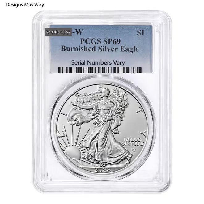 1 oz Burnished Silver American Eagle NGC/PCGS MS/SP 69 (Random Year)