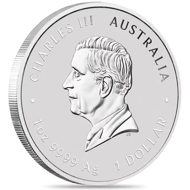 Box of 100 - 2025 1 oz Silver Lunar Snake Dragon Privy BU Australian Perth Mint